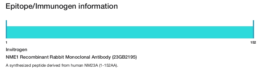 NME1 Recombinant Rabbit Monoclonal Antibody (23GB2195)