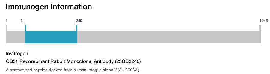 CD51 Recombinant Rabbit Monoclonal Antibody (23GB2240)