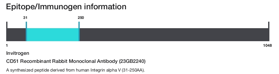 CD51 Recombinant Rabbit Monoclonal Antibody (23GB2240)