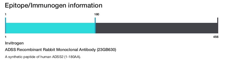 ADSS Recombinant Rabbit Monoclonal Antibody (23GB630)