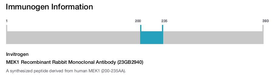 MEK1 Recombinant Rabbit Monoclonal Antibody (23GB2940)