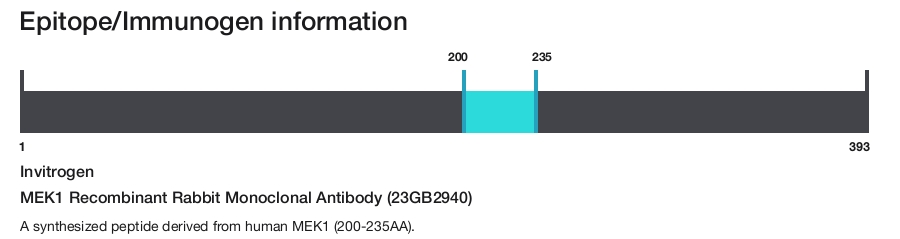MEK1 Recombinant Rabbit Monoclonal Antibody (23GB2940)
