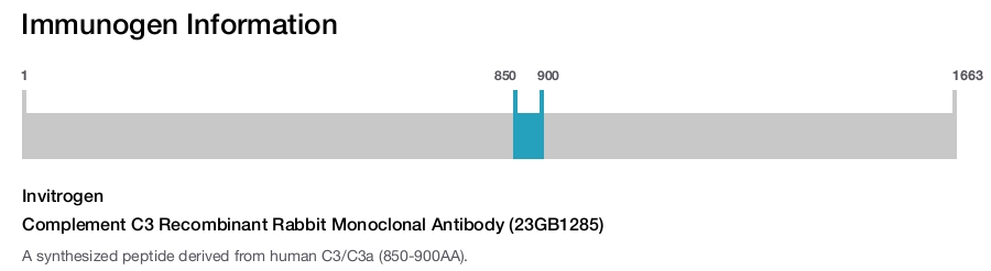 Complement C3 Recombinant Rabbit Monoclonal Antibody (23GB1285)