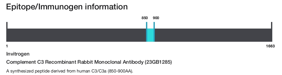 Complement C3 Recombinant Rabbit Monoclonal Antibody (23GB1285)