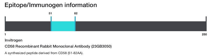 CD58 Recombinant Rabbit Monoclonal Antibody (23GB3050)