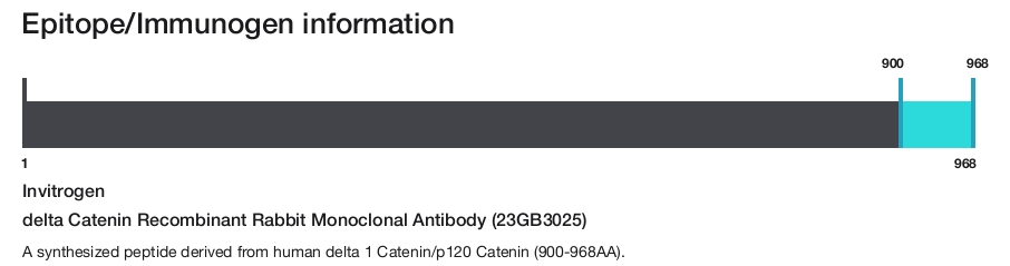 delta Catenin Recombinant Rabbit Monoclonal Antibody (23GB3025)