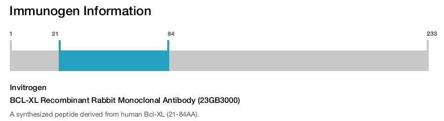BCL-XL Recombinant Rabbit Monoclonal Antibody (23GB3000)