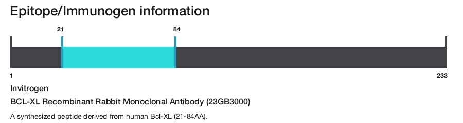 BCL-XL Recombinant Rabbit Monoclonal Antibody (23GB3000)