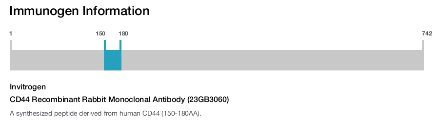 CD44 Recombinant Rabbit Monoclonal Antibody (23GB3060)