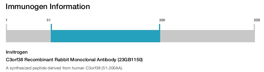 C3orf38 Recombinant Rabbit Monoclonal Antibody (23GB1150)