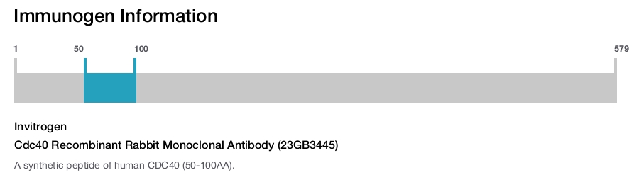 Cdc40 Recombinant Rabbit Monoclonal Antibody (23GB3445)