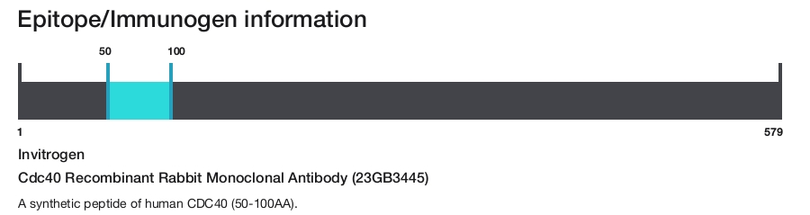 Cdc40 Recombinant Rabbit Monoclonal Antibody (23GB3445)