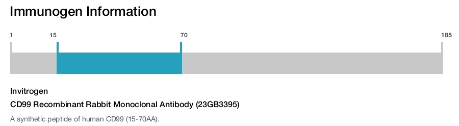CD99 Recombinant Rabbit Monoclonal Antibody (23GB3395)