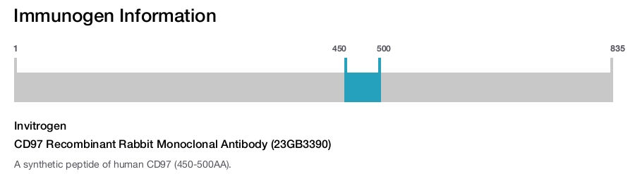 CD97 Recombinant Rabbit Monoclonal Antibody (23GB3390)