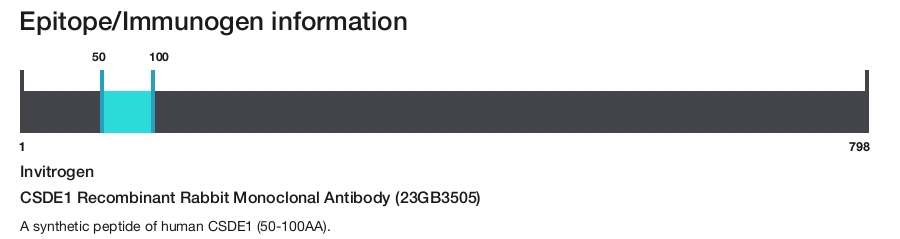 CSDE1 Recombinant Rabbit Monoclonal Antibody (23GB3505)