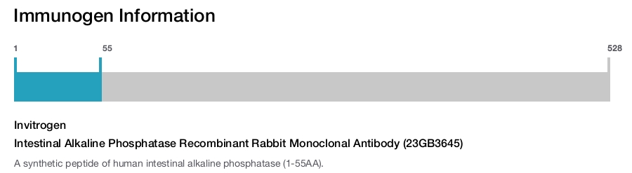 Intestinal Alkaline Phosphatase Recombinant Rabbit Monoclonal Antibody (23GB3645)