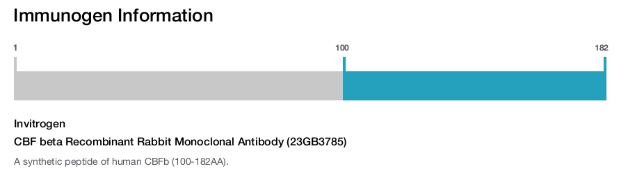 CBF beta Recombinant Rabbit Monoclonal Antibody (23GB3785)