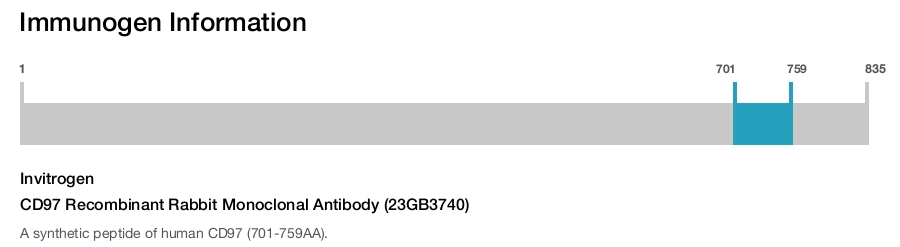 CD97 Recombinant Rabbit Monoclonal Antibody (23GB3740)
