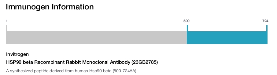 HSP90 beta Recombinant Rabbit Monoclonal Antibody (23GB2785)