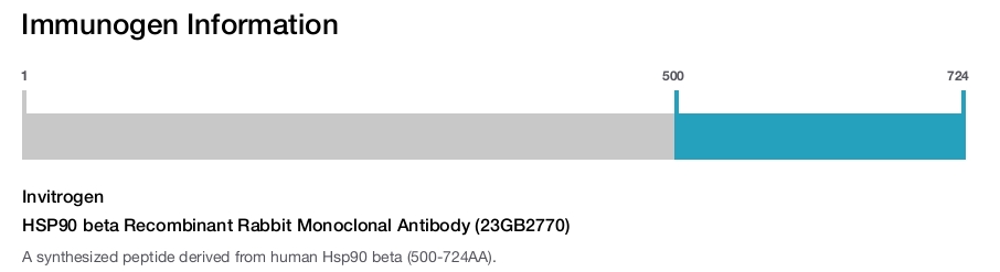 HSP90 beta Recombinant Rabbit Monoclonal Antibody (23GB2770)