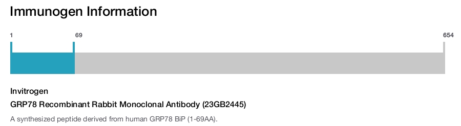 GRP78 Recombinant Rabbit Monoclonal Antibody (23GB2445)
