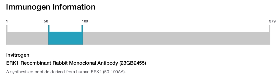 ERK1 Recombinant Rabbit Monoclonal Antibody (23GB2455)