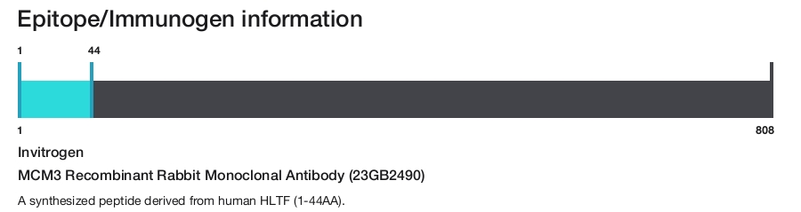 MCM3 Recombinant Rabbit Monoclonal Antibody (23GB2490)