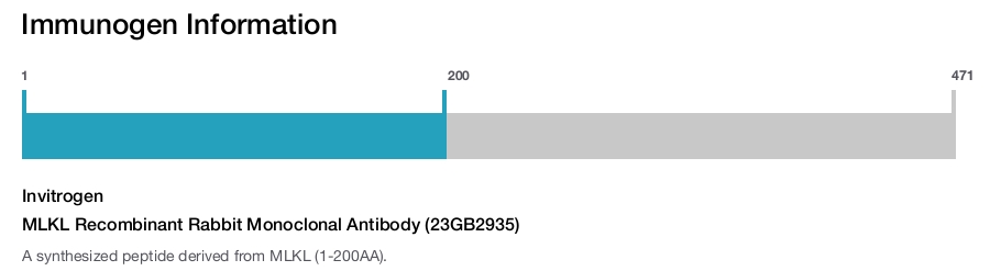 MLKL Recombinant Rabbit Monoclonal Antibody (23GB2935)