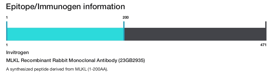 MLKL Recombinant Rabbit Monoclonal Antibody (23GB2935)