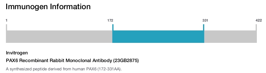 PAX6 Recombinant Rabbit Monoclonal Antibody (23GB2875)