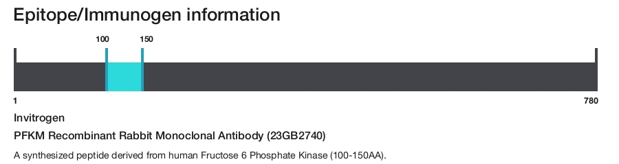 PFKM Recombinant Rabbit Monoclonal Antibody (23GB2740)