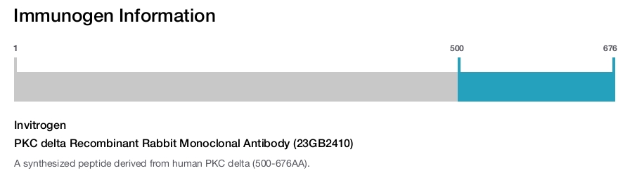 PKC delta Recombinant Rabbit Monoclonal Antibody (23GB2410)