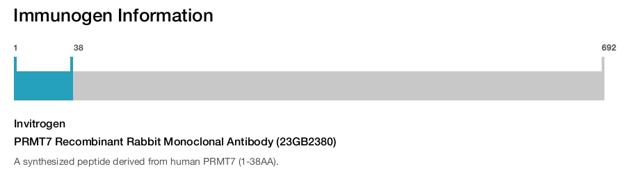 PRMT7 Recombinant Rabbit Monoclonal Antibody (23GB2380)