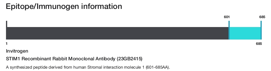STIM1 Recombinant Rabbit Monoclonal Antibody (23GB2415)