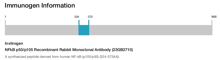 NFkB p50/p105 Recombinant Rabbit Monoclonal Antibody (23GB2710)