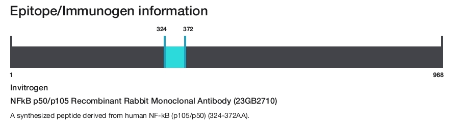 NFkB p50/p105 Recombinant Rabbit Monoclonal Antibody (23GB2710)