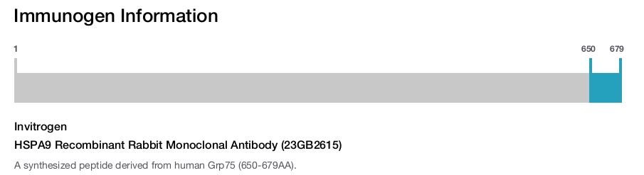 HSPA9 Recombinant Rabbit Monoclonal Antibody (23GB2615)