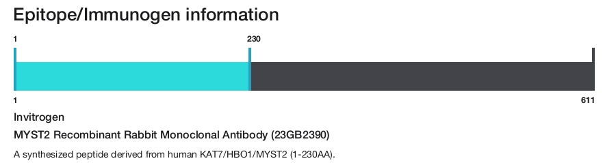 MYST2 Recombinant Rabbit Monoclonal Antibody (23GB2390)