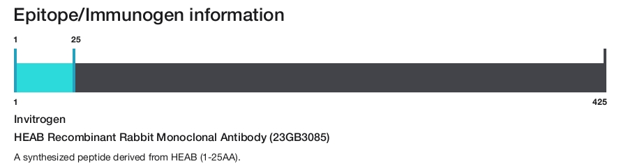 HEAB Recombinant Rabbit Monoclonal Antibody (23GB3085)