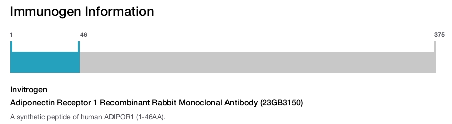 Adiponectin Receptor 1 Recombinant Rabbit Monoclonal Antibody (23GB3150)