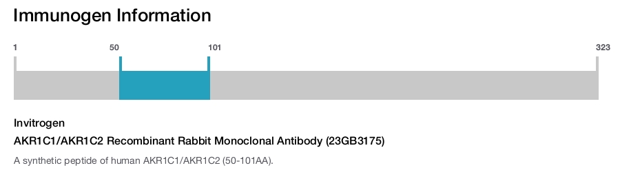 AKR1C1/AKR1C2 Recombinant Rabbit Monoclonal Antibody (23GB3175)