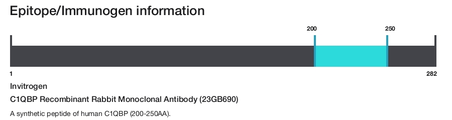 C1QBP Recombinant Rabbit Monoclonal Antibody (23GB690)