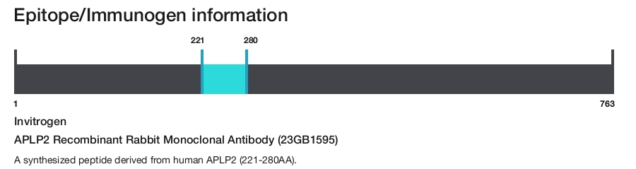 APLP2 Recombinant Rabbit Monoclonal Antibody (23GB1595)