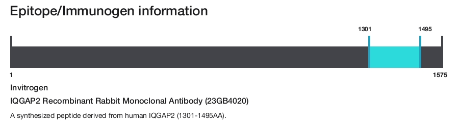 IQGAP2 Recombinant Rabbit Monoclonal Antibody (23GB4020)