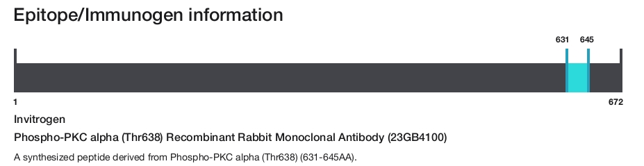 Phospho-PKC alpha (Thr638) Recombinant Rabbit Monoclonal Antibody (23GB4100)