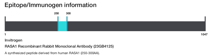 RASA1 Recombinant Rabbit Monoclonal Antibody (23GB4125)