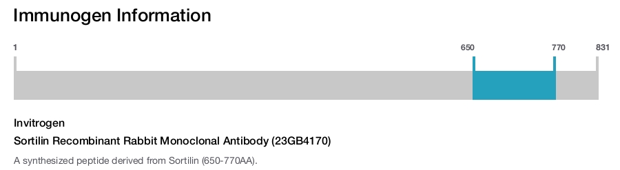 Sortilin Recombinant Rabbit Monoclonal Antibody (23GB4170)