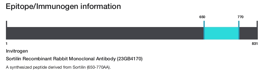 Sortilin Recombinant Rabbit Monoclonal Antibody (23GB4170)
