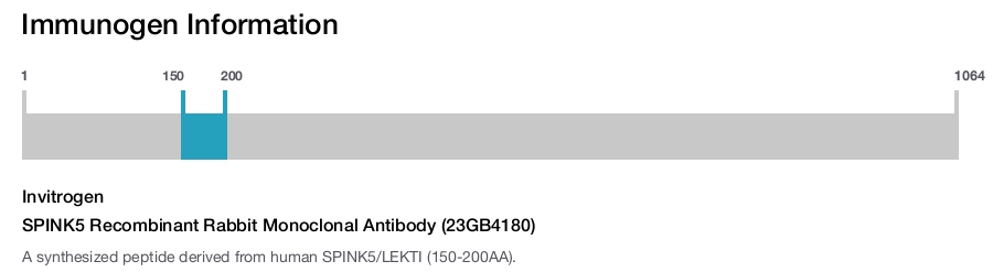 SPINK5 Recombinant Rabbit Monoclonal Antibody (23GB4180)