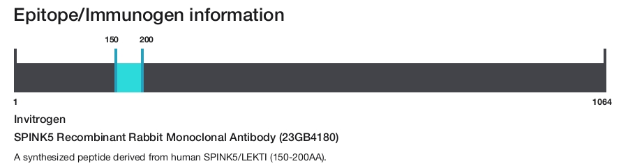SPINK5 Recombinant Rabbit Monoclonal Antibody (23GB4180)